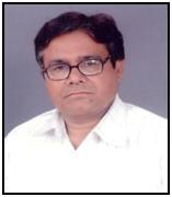 Profile picture for user nawalkishoredubey
